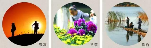 寒露时节美食养生,寒露时节经络养生应以调养为主