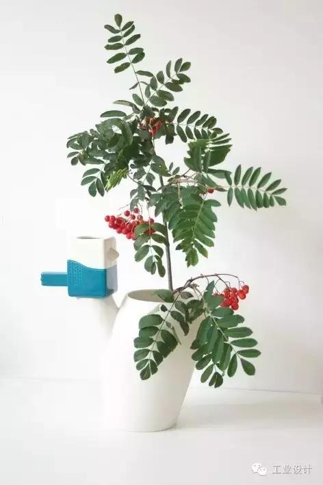 水瓶一样的水壶,冷水壶你见过吗