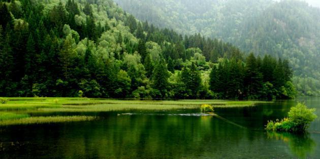 九寨沟现在能去吗,九寨沟怎么去最方便