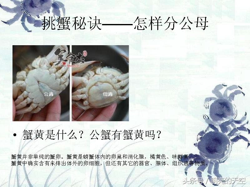 秋风起蟹脚痒下一句,秋风起蟹脚痒沪语