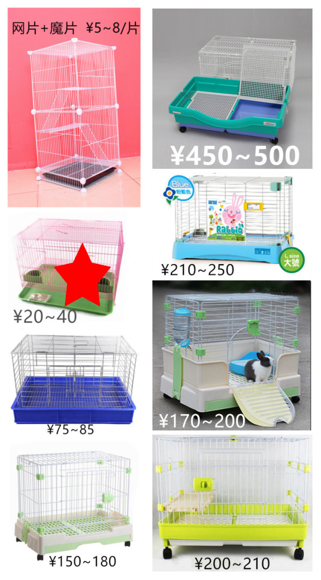 养一只荷兰猪需要花多少钱,养两只荷兰猪一个月需要多少钱