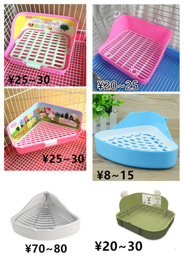 养一只荷兰猪需要花多少钱,养两只荷兰猪一个月需要多少钱