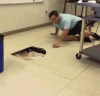 肥皂掉在地上捡还是不捡,肥皂掉地上捡不捡