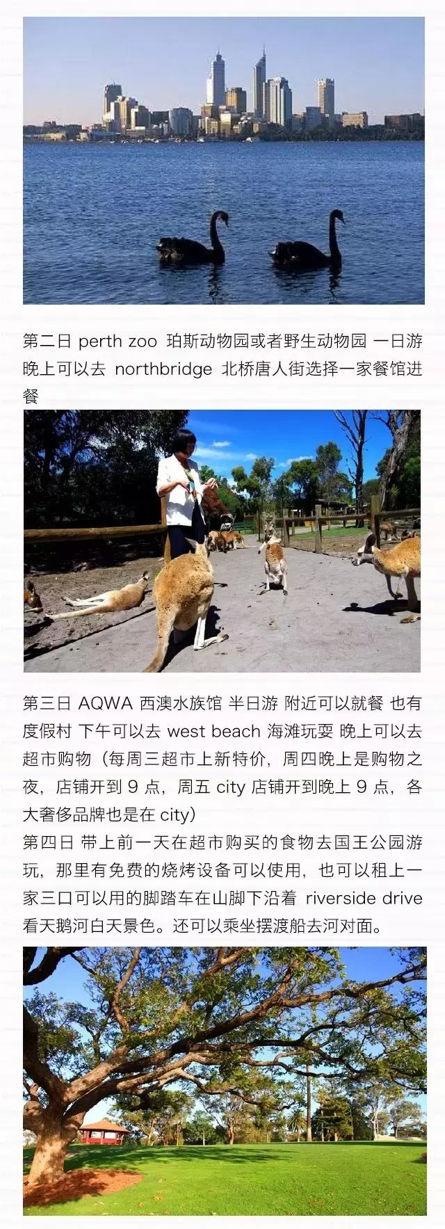 袋鼠国澳大利亚,袋鼠国澳洲