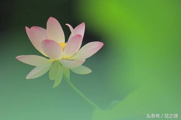 有心跳的生活,美景尽在眼下