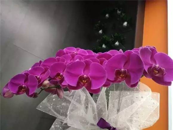 红米5splus评测,小米5splus手机型号