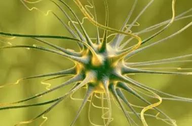 抖腿不是病,只因儿时一不小心见过洗脸盆