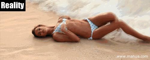 郁金香vs德国,郁金香战争