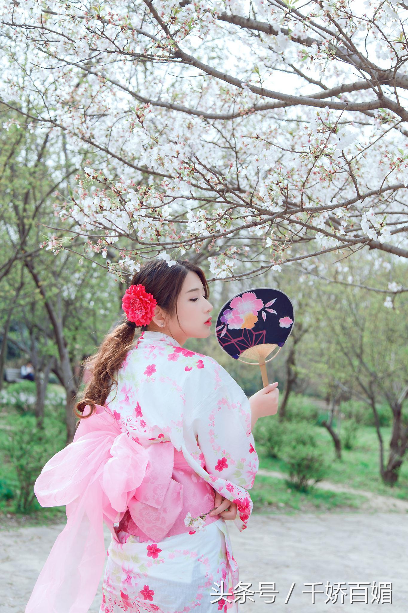 和服樱花日本,日本樱花美景和服
