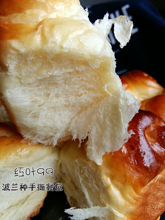 拉丝波兰种面包的做法,波兰种柔软小餐包简单做法
