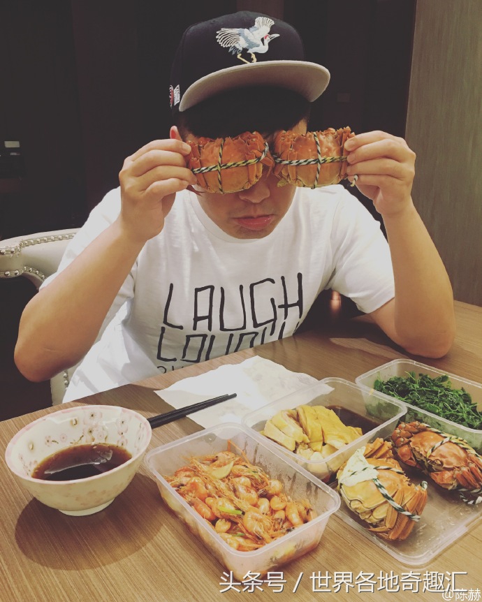 陈赫抱猫咪是什么猫,陈赫养了多少只猫