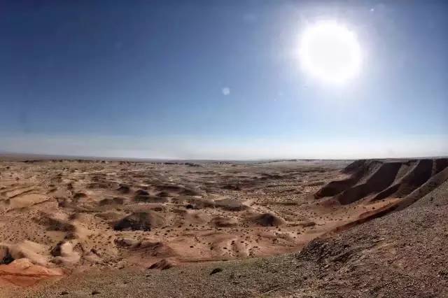 傻白甜大型翻车现场,傻白甜遇到了麻烦