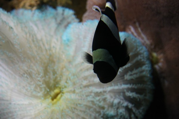 去大连必须做的6件事,去大连一定要做的事