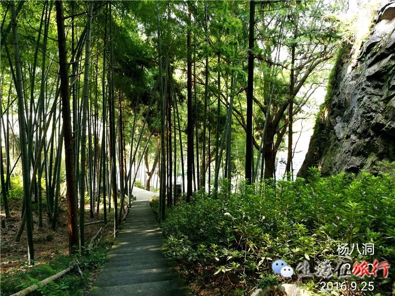 乐清杨八洞风景区,天下第九洞天一日游