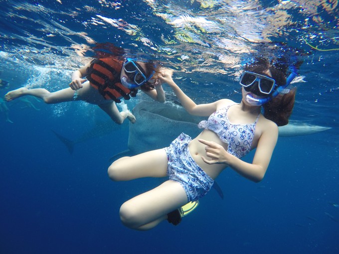 菲律宾潜水攻略 (菲律宾潜水游记)