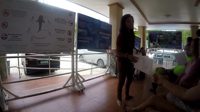 菲律宾潜水攻略 (菲律宾潜水游记)