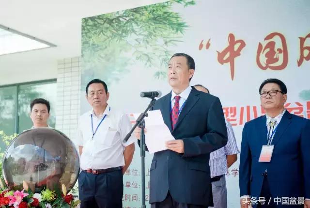 哪些野草适合微型盆景,小品盆景和微型盆景有区别吗