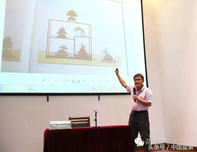 哪些野草适合微型盆景,小品盆景和微型盆景有区别吗