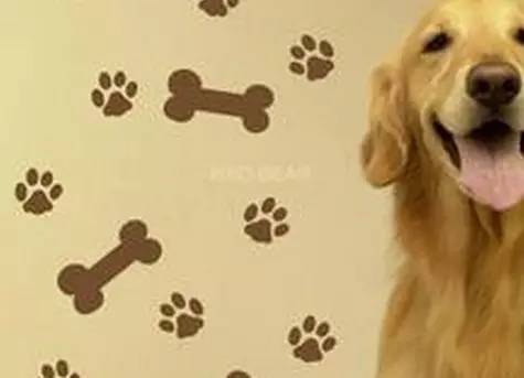 帮你“操翻”老板的装逼指南!