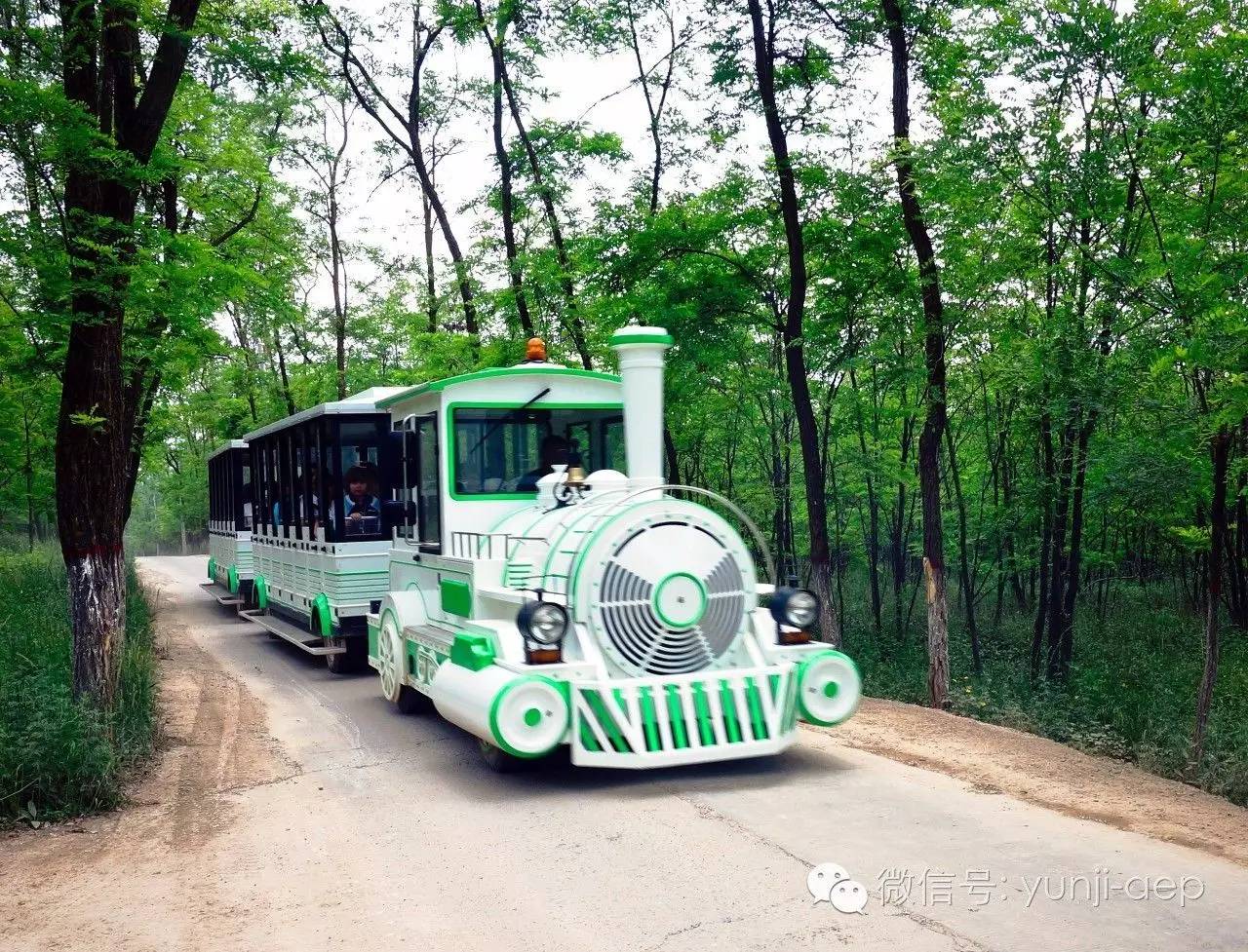 御寒滋补佳品,御寒养生火锅视频