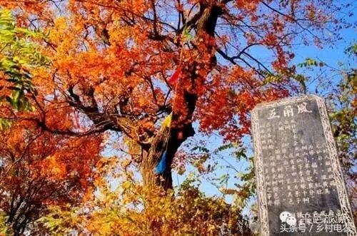 阿里乡村振兴公益事业,阿里农村扶贫