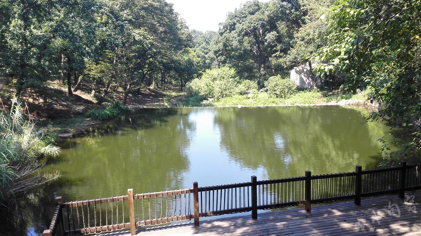 茅山风景区旅游,茅山风景区旅游攻略最新