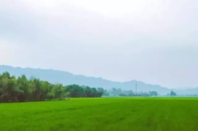 心宿旅舍,民宿推荐来一场说走就走的旅行