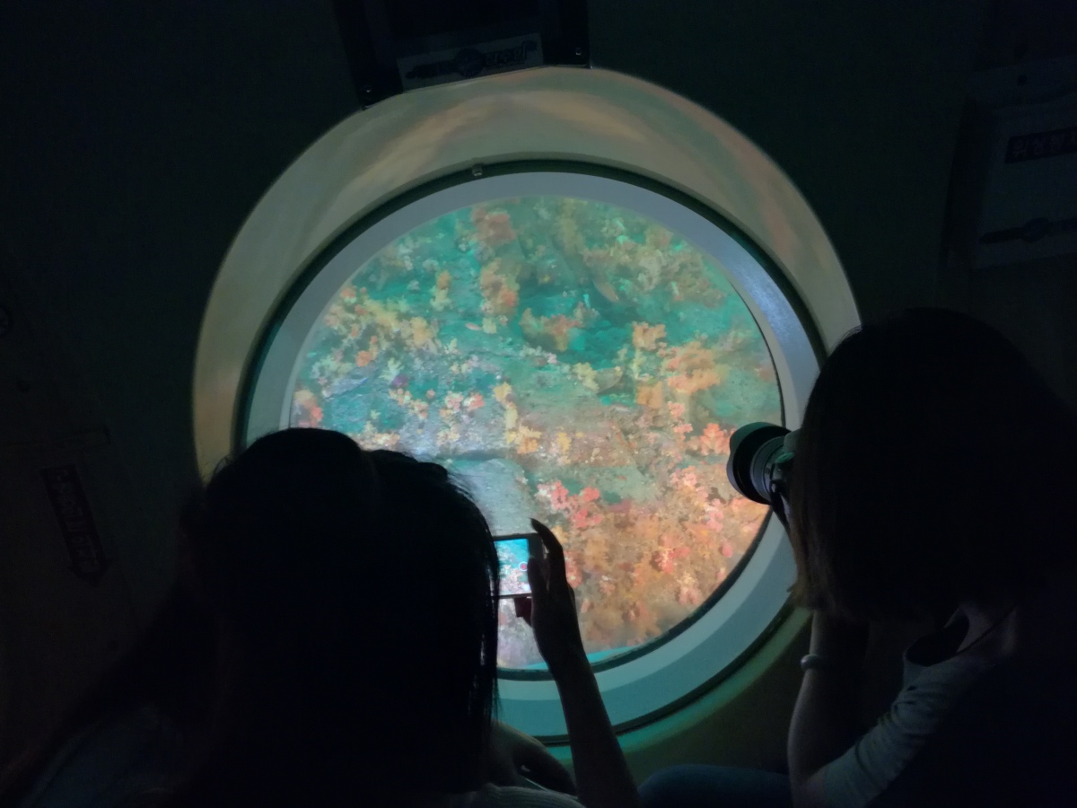 娴庡窞宀涙綔姘磋墖鏃呮父鏀荤暐,娴庡窞宀涙綔姘磋墖鏀荤暐