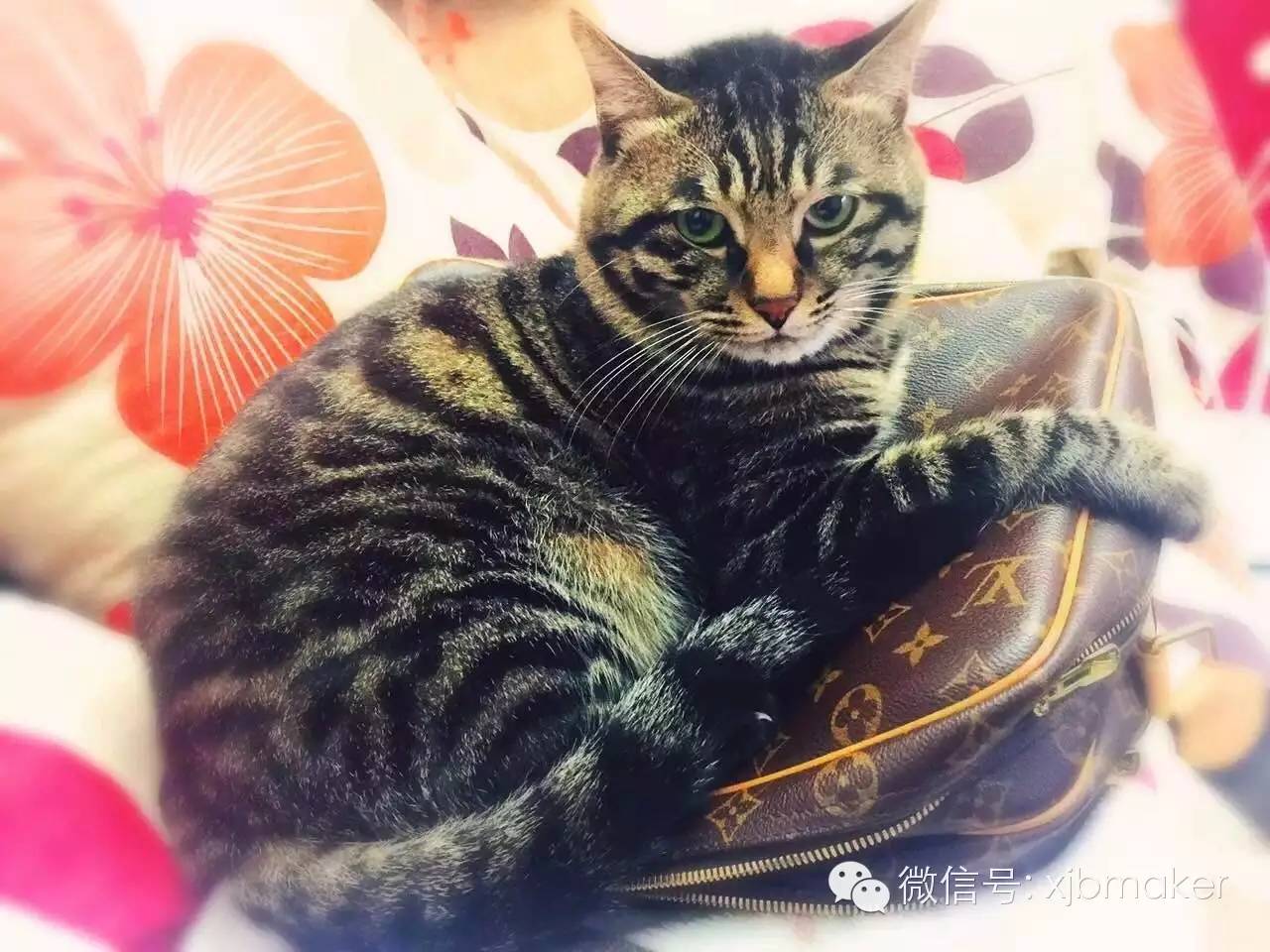 二手奢侈品是如何赚钱的,做二手奢侈品是怎么赚钱的呀