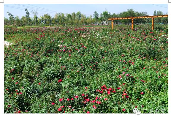 疆域风情玛纳斯,玛纳斯冰雪风情旅游季