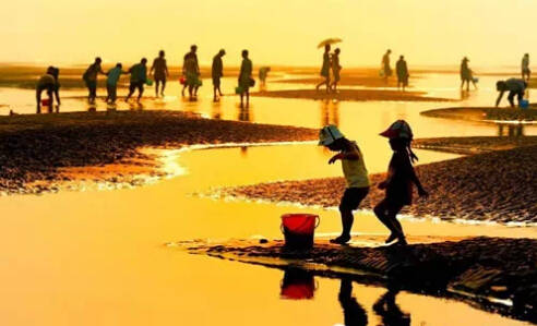 26个英文字母带你看懂我们大如东!