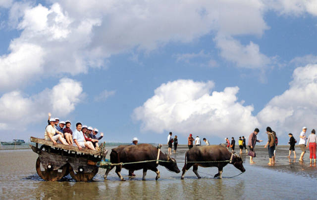 26个英文字母带你看懂我们大如东!