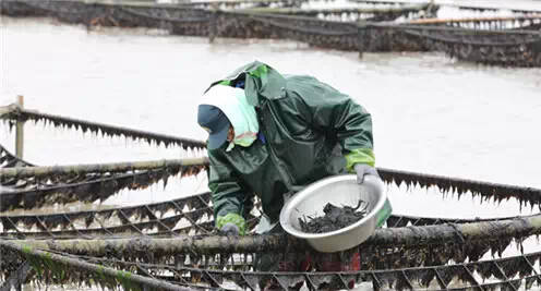 26个英文字母带你看懂我们大如东!