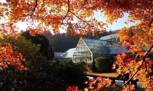 江西最美自驾线路推荐,江西自驾5条最佳线路图