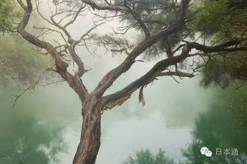 日本十大最好的温泉,一生必去的日本温泉