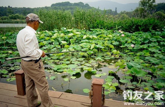 小塘怎么钓鲤鱼的技巧,湖库野钓鲤鱼技巧深秋