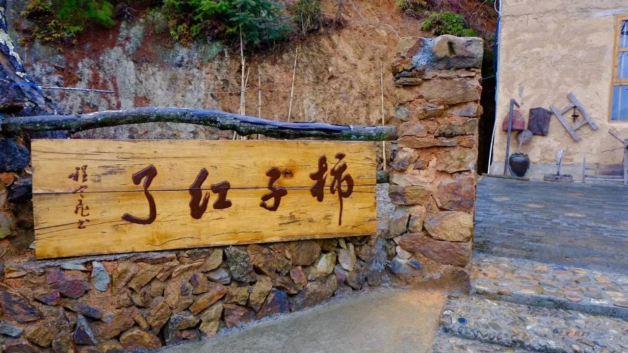 松阳民宿推荐,松阳比较出名的民宿