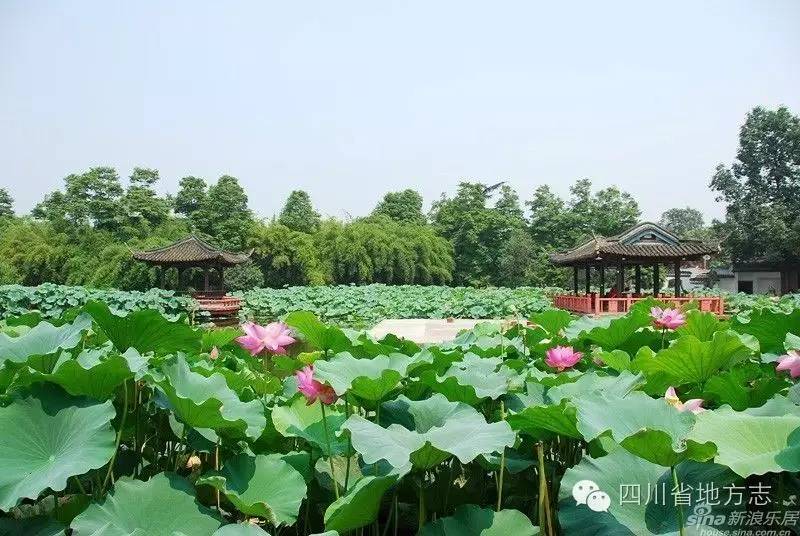 郫县郫怎么读,郫怎么读郫县