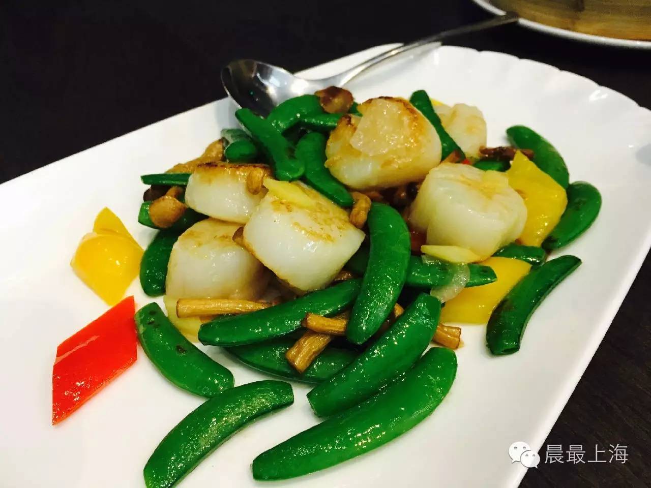 找乐子|这么多预约电话打不通！要集齐上海米其林全套简直路漫漫