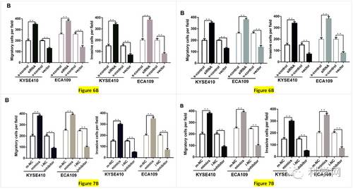 “坚定不移地将中国科研拖入深渊”的SCI杂志主编