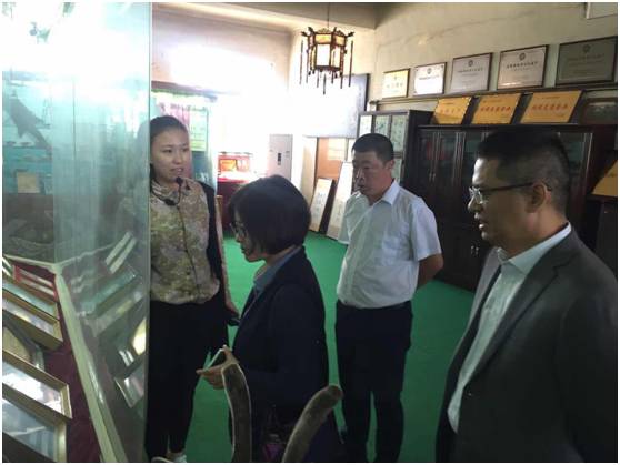 阿胶新零售最新合作,阿胶现状