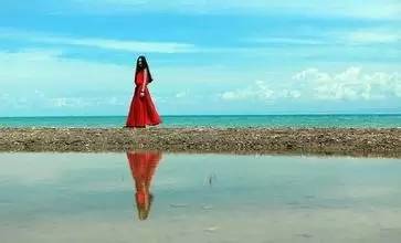 我亦飘零久全文阅读,我亦飘零久作者