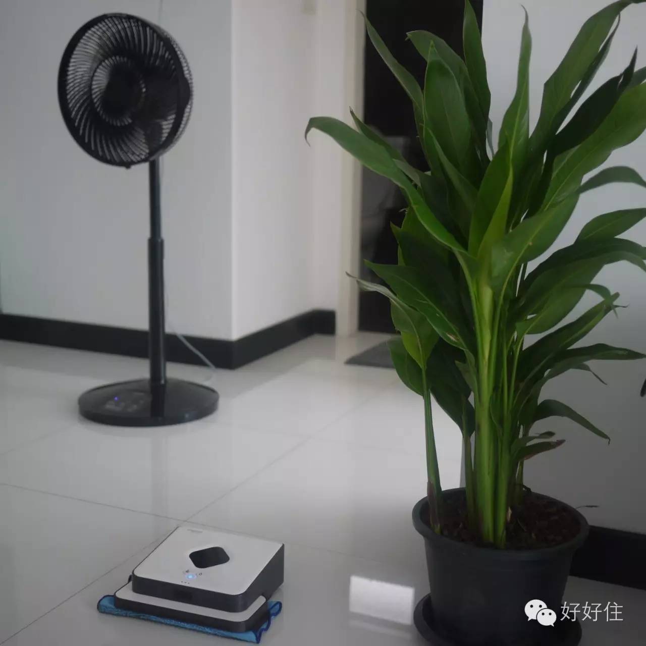 千万别买厨房神器,最实用的家务神器是什么