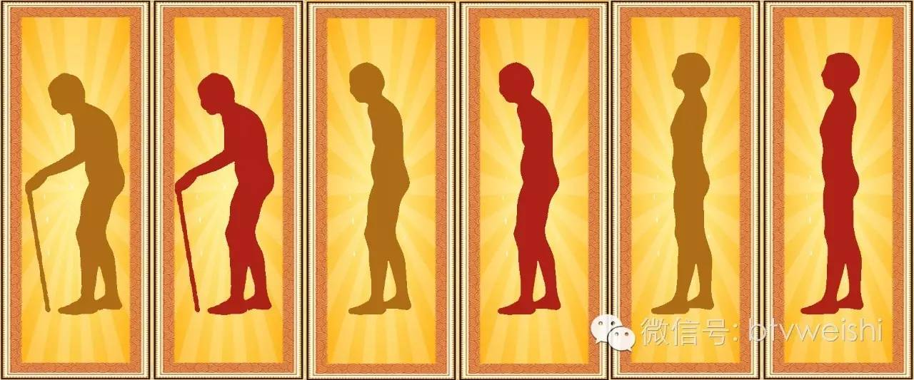 养生堂今日17:25播出《健康长寿营养先行》