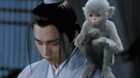 没想到你是这样的神狐小七!《青云志》灵(萌)兽(宠)大合集