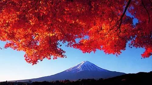 好物推荐购物必买清单,必买便宜又好用的好物