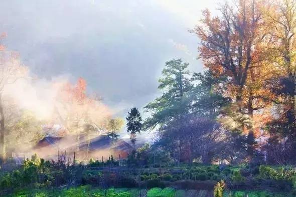 江西最美自驾线路推荐,江西自驾5条最佳线路图