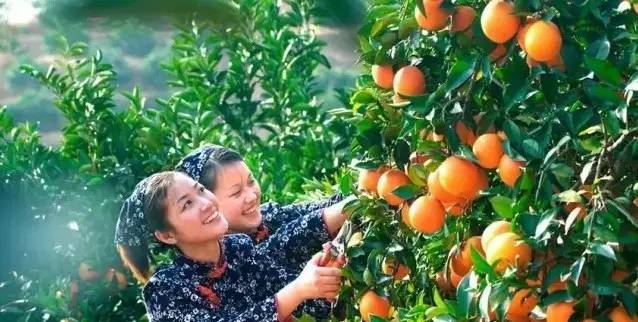 江西最美自驾线路推荐,江西自驾5条最佳线路图