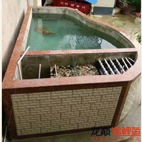 我的锦鲤梦,一直在坚持!