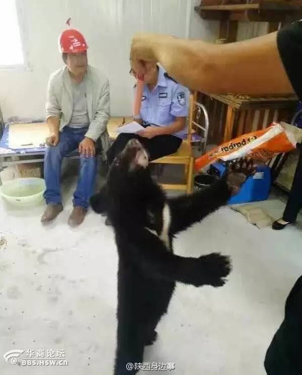 西安最火爆的餐饮项目,西安最火的餐饮生意